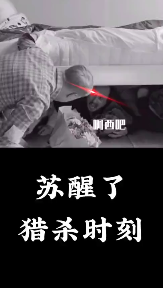 猎杀时刻觉醒了猎杀时刻