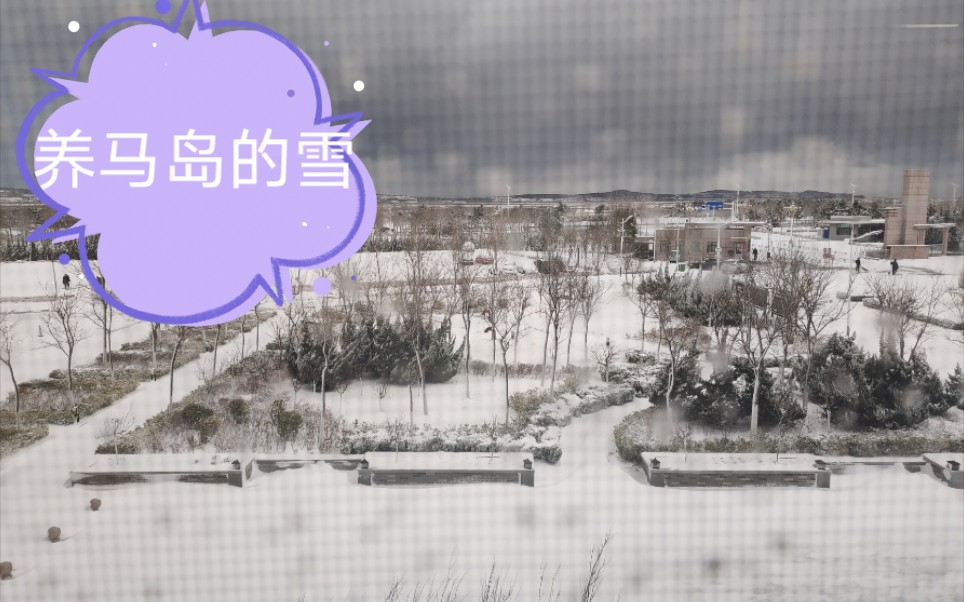 养马岛皇家医学院的第一场大雪哔哩哔哩bilibili