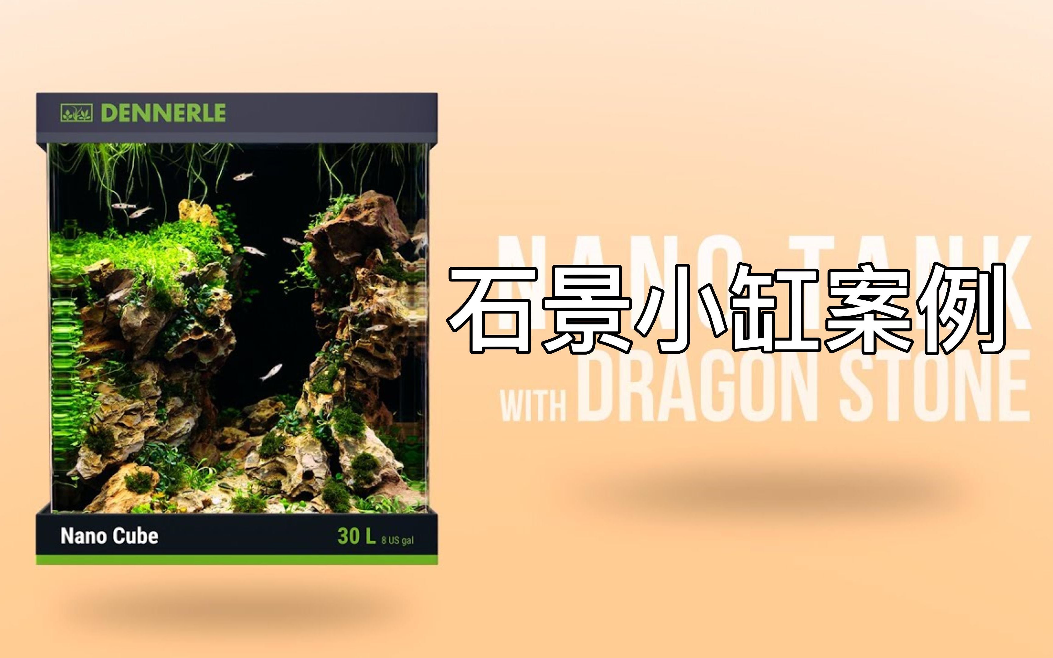 [GreenAqua]峡谷石景小缸造景案例(原创字幕翻译)哔哩哔哩bilibili