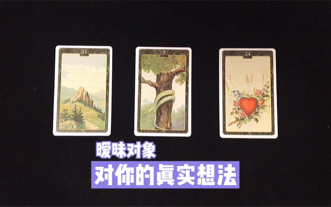 塔罗喵kiki暧昧对象对你的真实想法