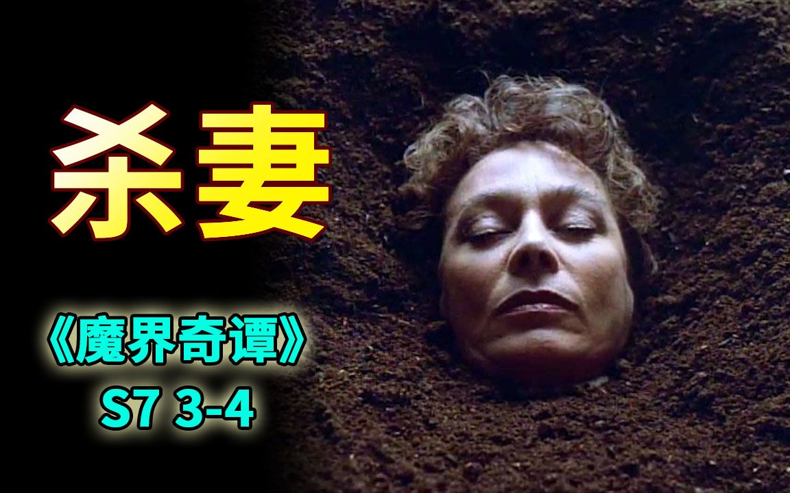 结尾反转,当刑侦小说家遇上心狠手辣的丈夫《魔界奇谭》s7 3-4