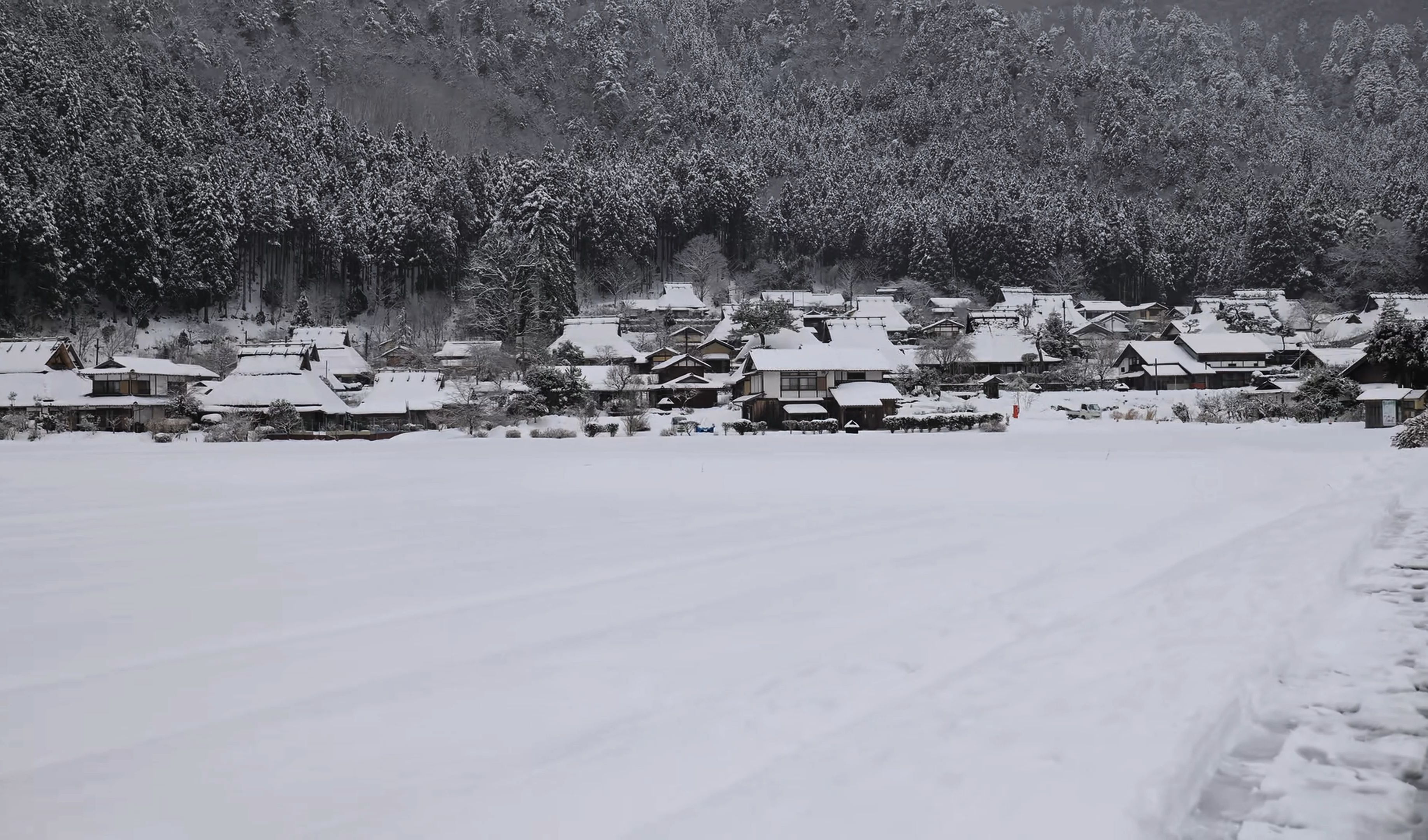 京都ⷮŠ美山町丨每年一月下旬大概就是这个光景 茫茫雪景哔哩哔哩bilibili