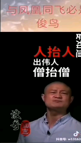 与凤凰同飞,必是俊鸟;与虎狼同行,必是哔哩哔哩bilibili