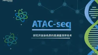 90s快速了解ATAC-seq