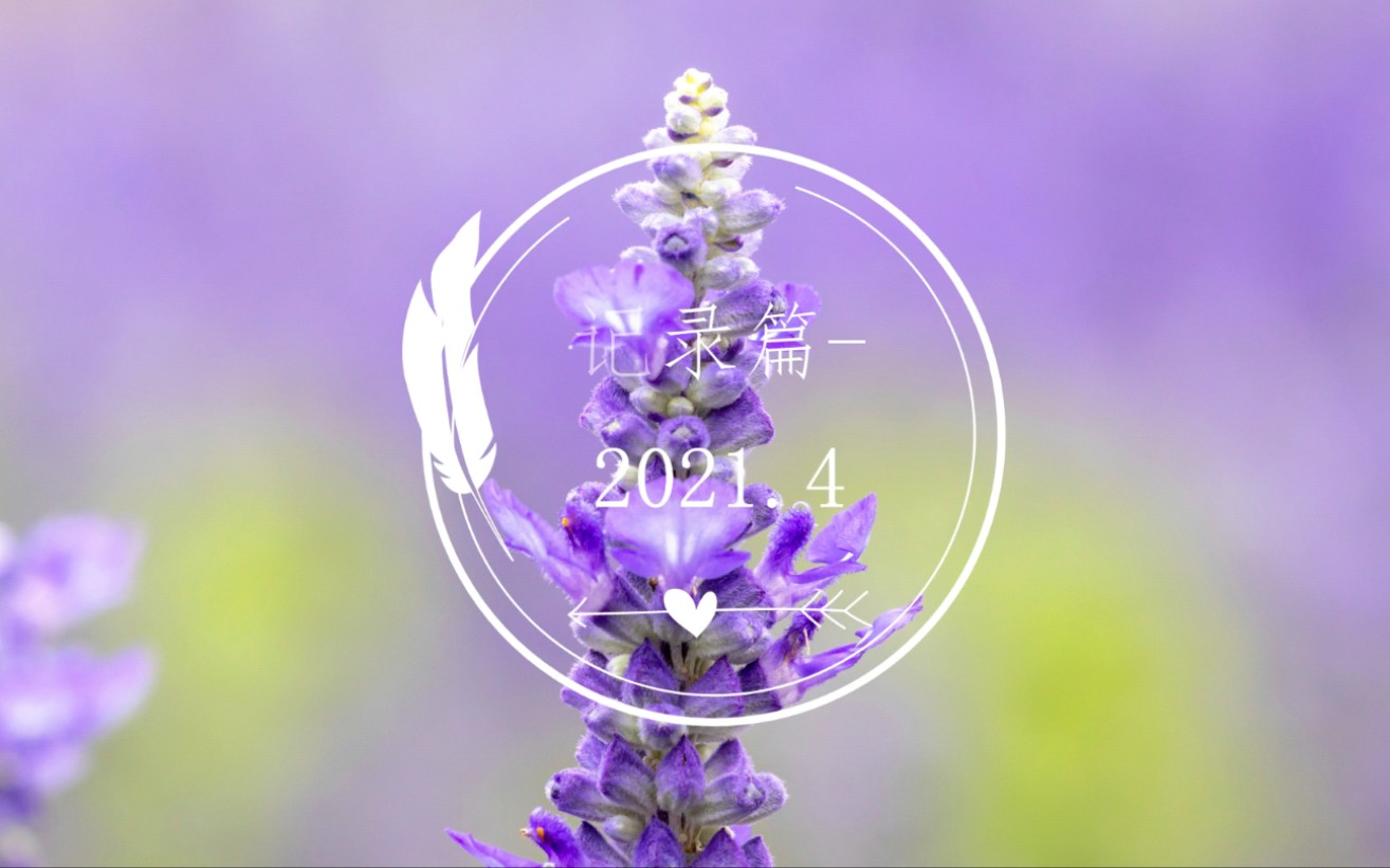 【2021年4月摄影记录】你是人间的四月天_哔哩哔哩 (゜-゜)つロ 干杯