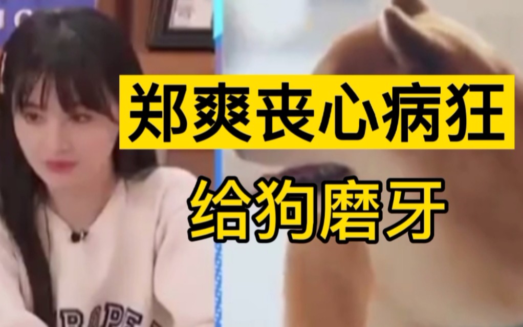 【郑爽发疯】tmd连狗都不放过!