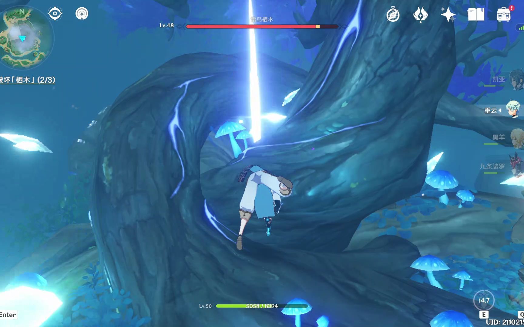 活动  原神-雾海与树之祭-破坏栖木(知比山)