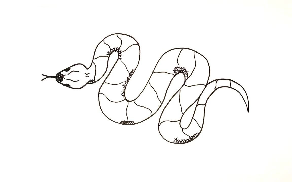 【简笔画】一条蛇,每天一幅简笔画