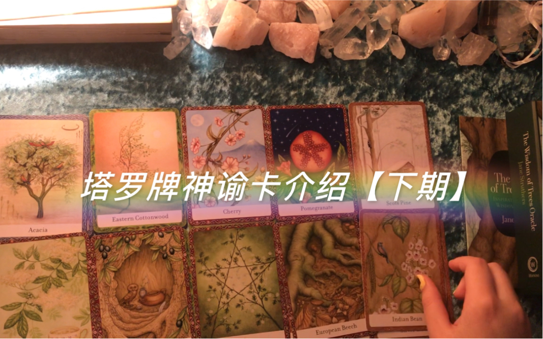 拥有的塔罗牌,神谕卡介绍分享【下期】