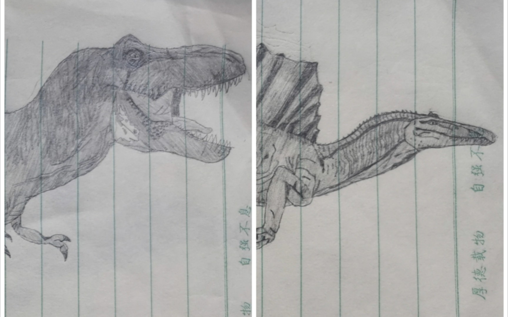 霸王龙和棘背龙怎么画图片