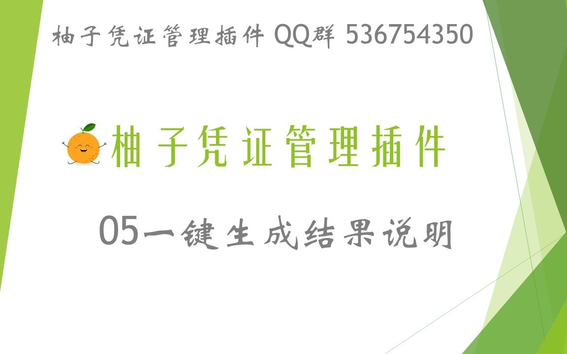 05一键生成结果说明金蝶用友1秒导入5000张发票凭证 柚子凭证管理插件 QQ群 536754350哔哩哔哩bilibili