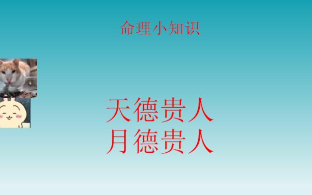 天月德贵人哔哩哔哩bilibili