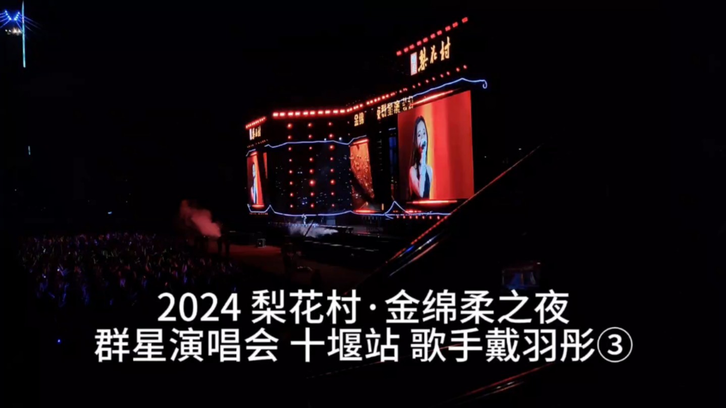 2024 梨花村ⷩ‡‘绵柔之夜 群星演唱会 十堰站 歌手戴羽彤③哔哩哔哩bilibili