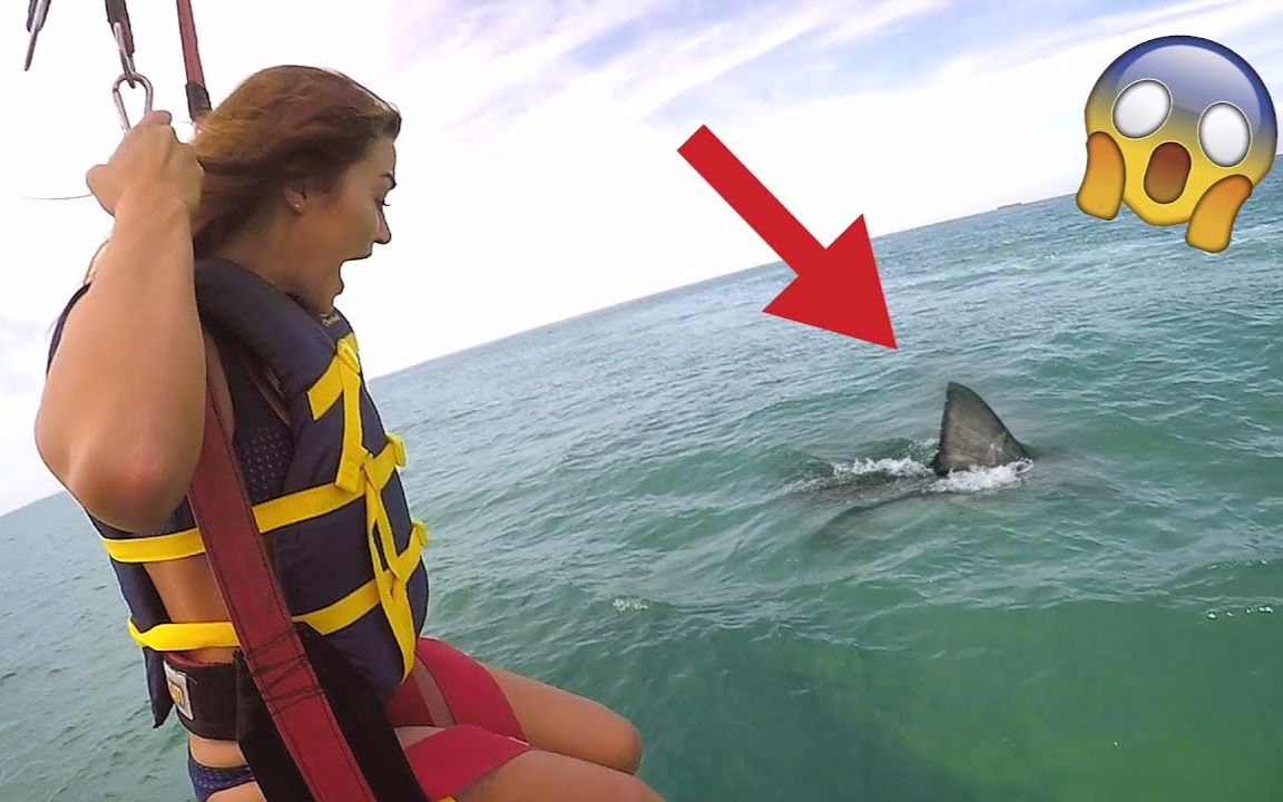 jake vlogs 更新 shark attack prank (wife freakout) facebook