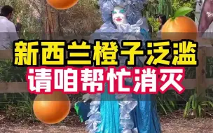 Tải video: 新西兰｜土豪朋友家橙子泛滥🍊这不正中我下怀么…