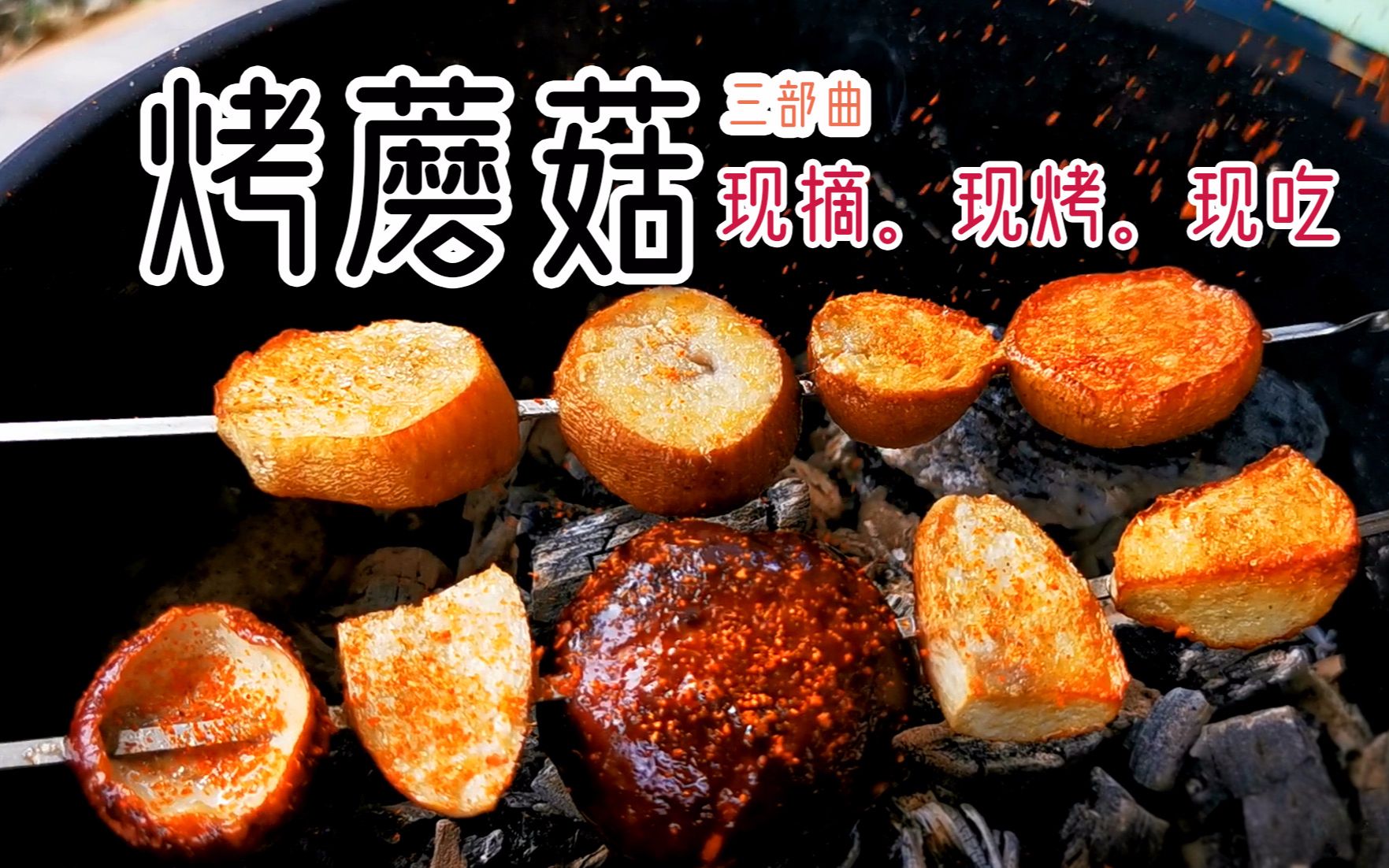 山居生活遇到雨季怎么办？靠山吃山啊，采蘑菇，烤起来就吃，安逸