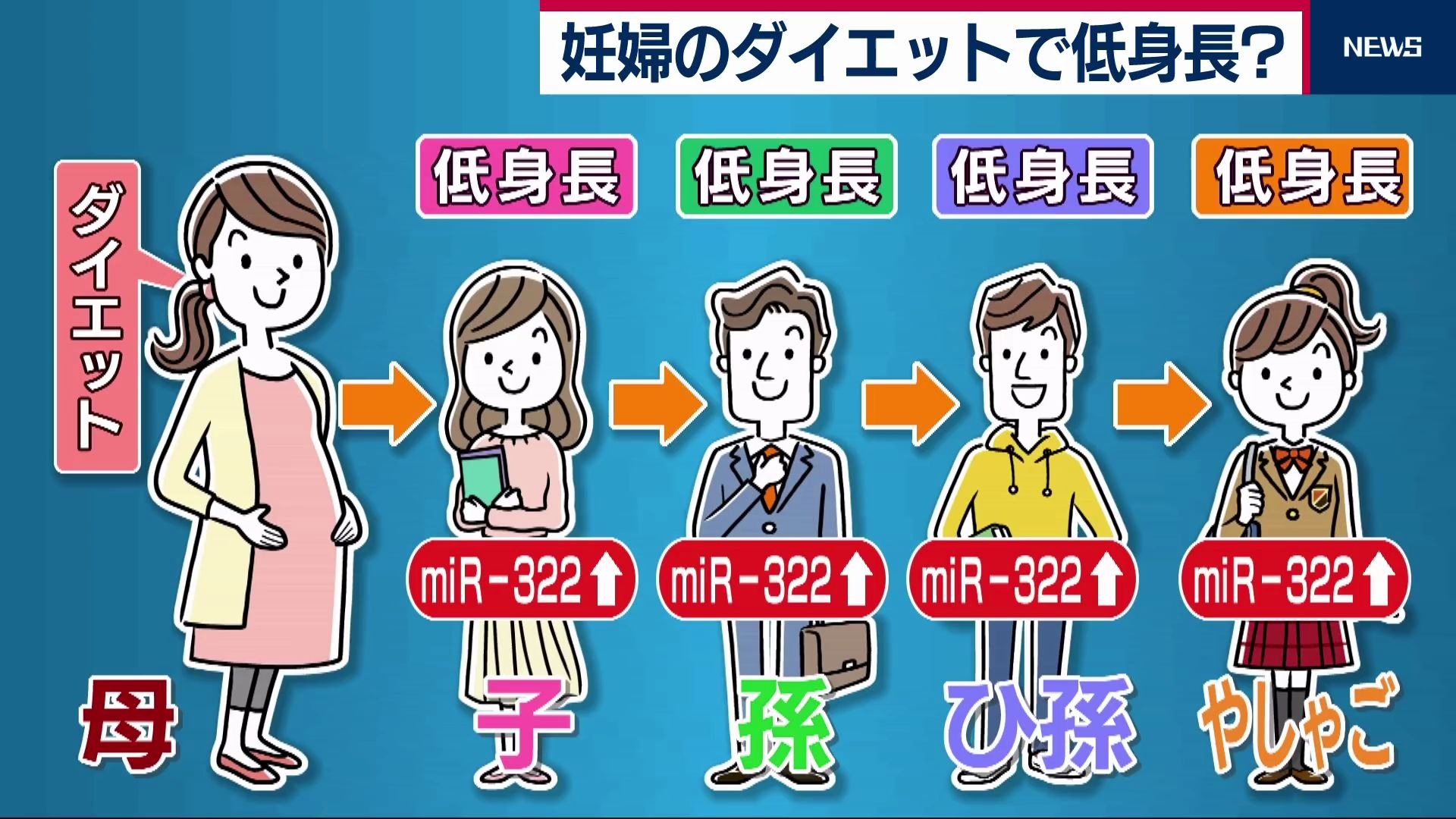 正在变矮的日本人!