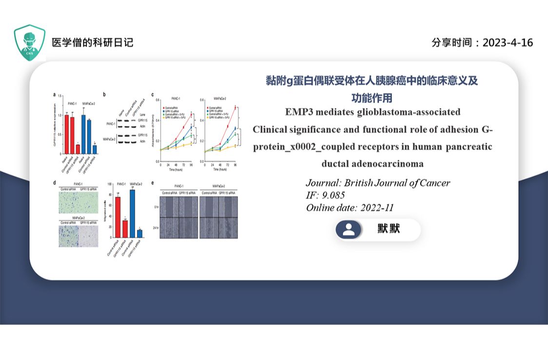 黏附G蛋白偶联受体在人体胰腺癌中的临床意义和功能作用哔哩哔哩bilibili