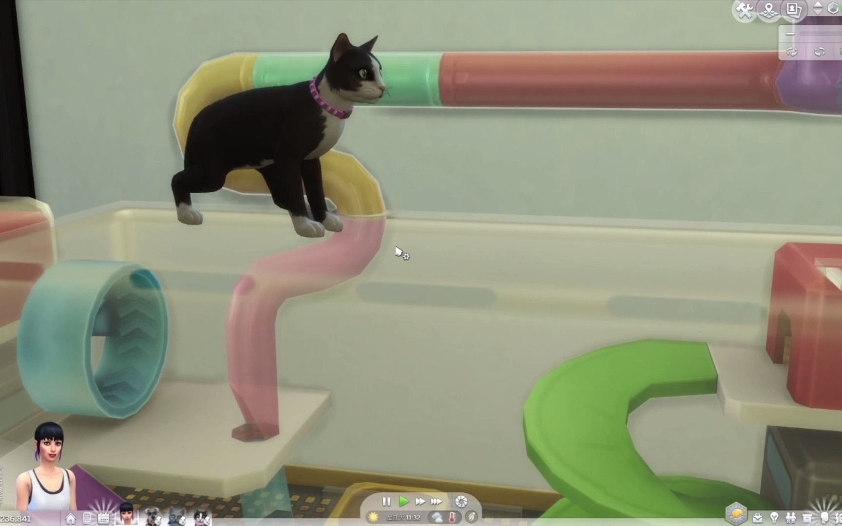  Unlock the Fun with Playable Pets Sims 4 Mod: A Complete Guide to Enhancing Your Gameplay