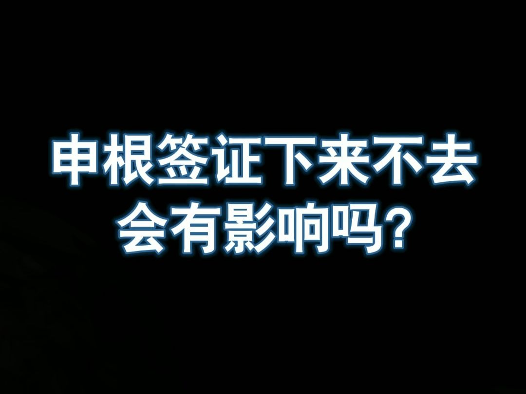 申根签证下来不去 会有影响吗?哔哩哔哩bilibili