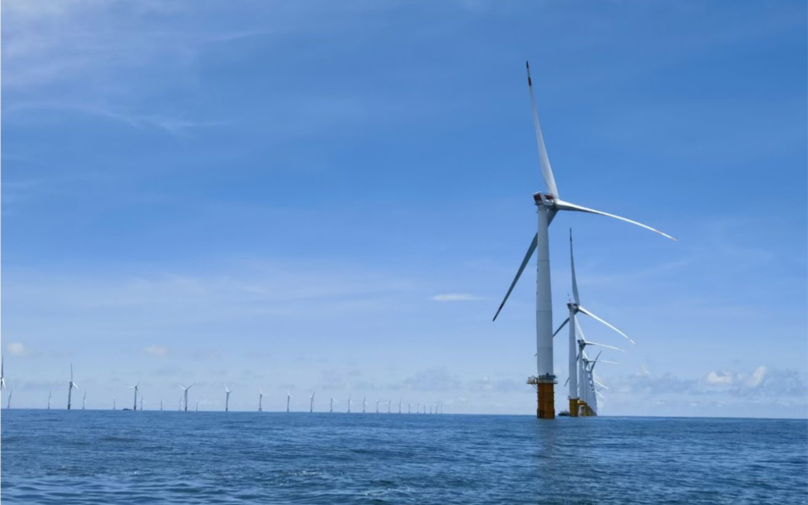 7月惠州风车塔海钓