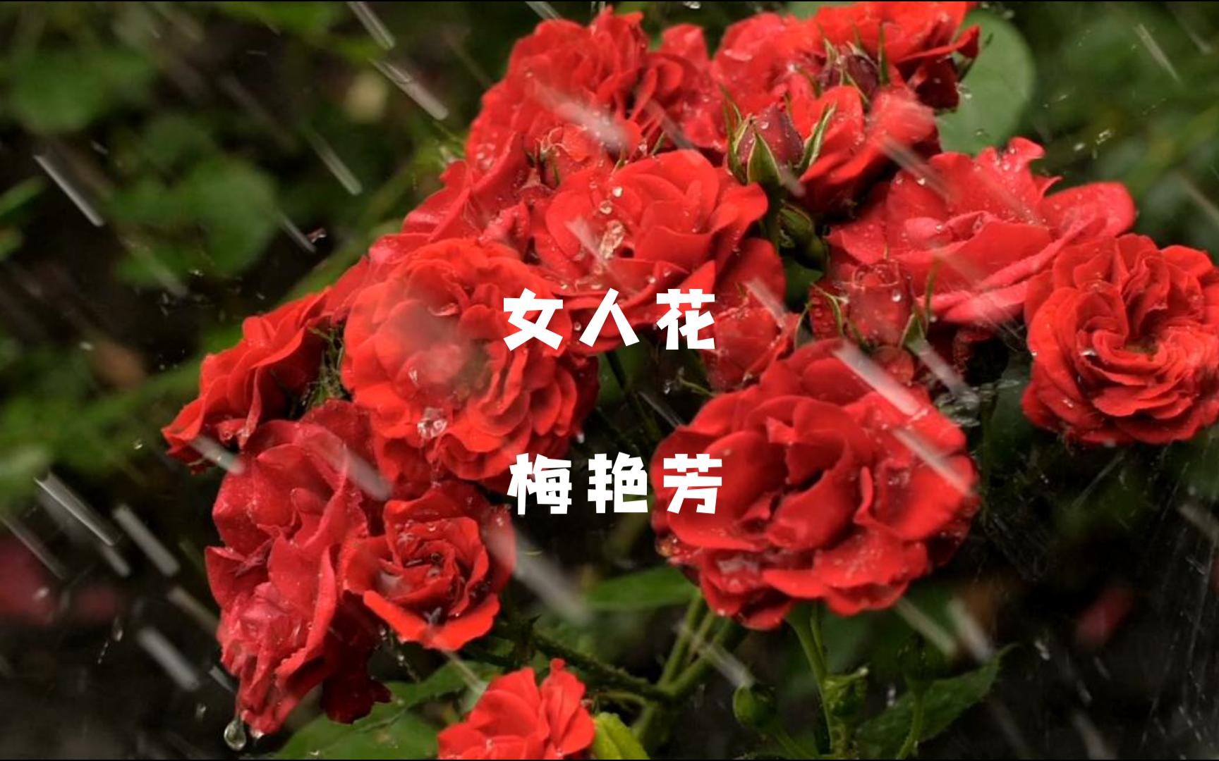 [图]【女人花]-梅艳芳：女人如花，花似梦，有花堪折直须折；