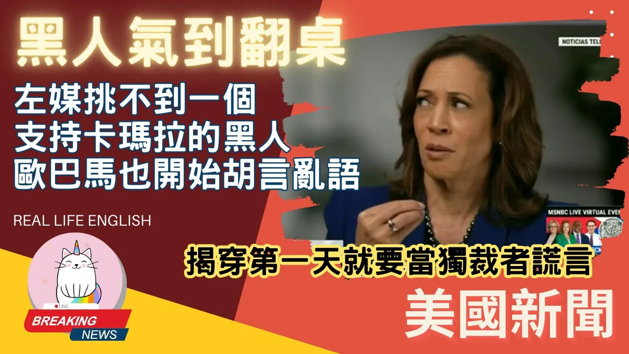 比绝望更绝望的绝望,全体叛变,民主党人,黑人女性基本盘,左派媒体全部开始批评哈里斯哔哩哔哩bilibili