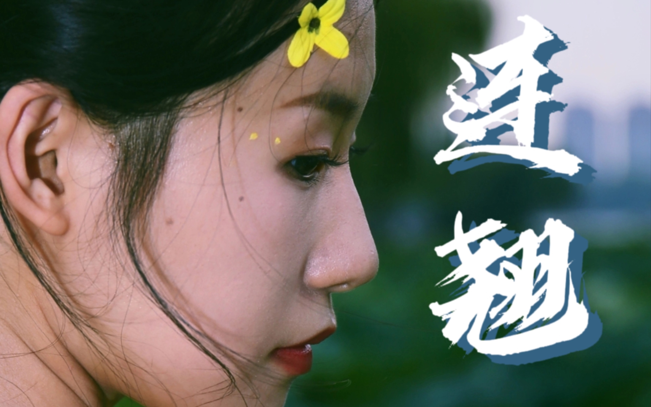 中药拟人第一期:连翘!