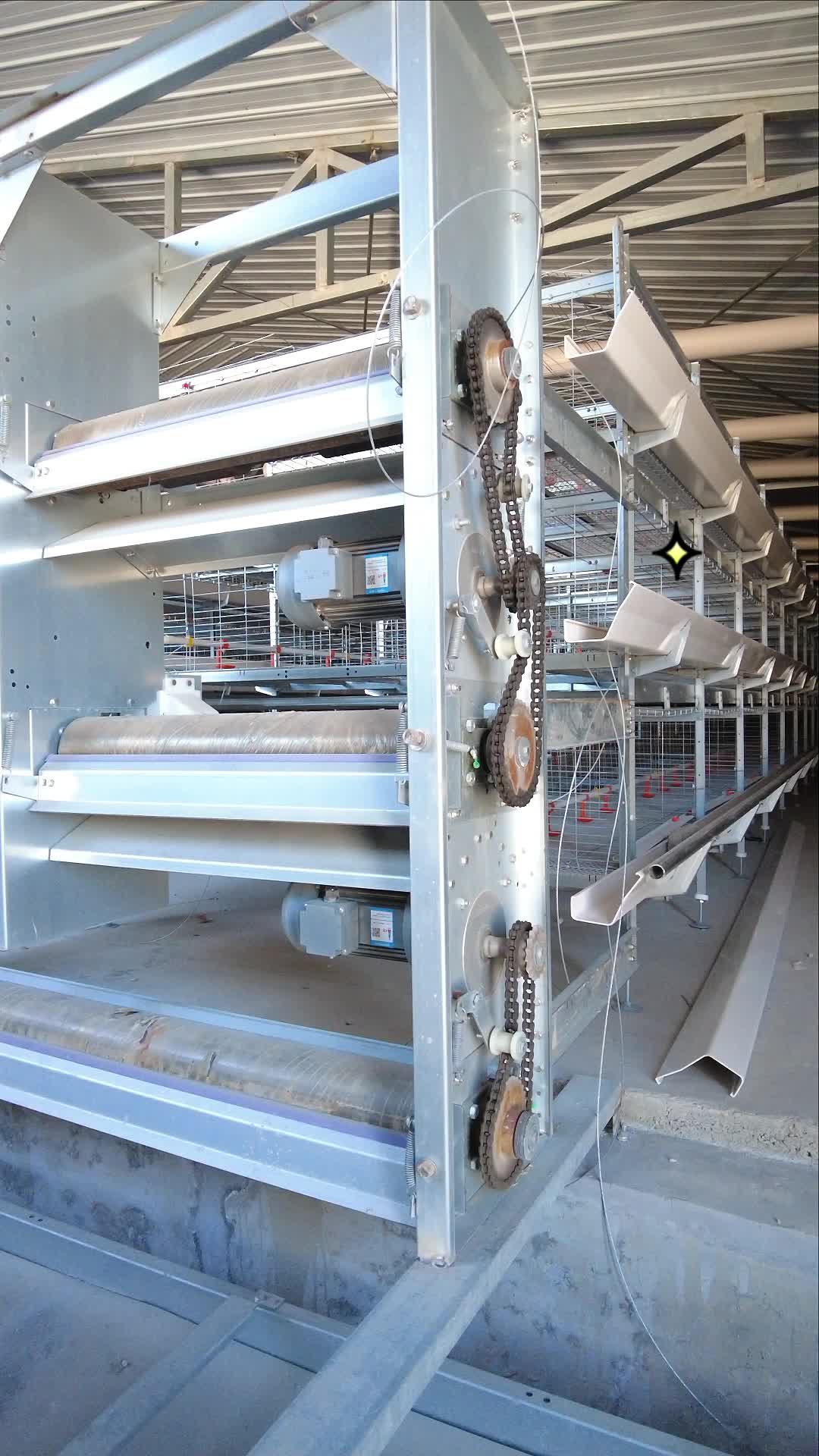 成笼养鸡设备定制,自动化养鸡设备厂家,技术专业;可提供蛋鸡养殖设备