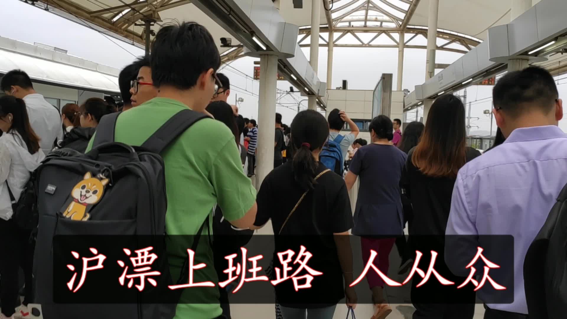 沪漂上班路真坎坷,工作充实且忙碌,人生第一份工作加油吖