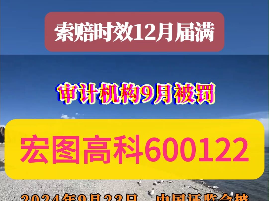 中国证监会对宏图高科600122审计机构作出处罚哔哩哔哩bilibili