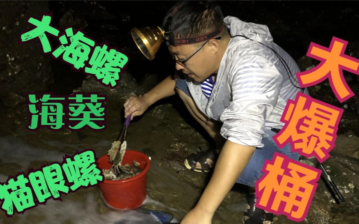 二哥赶海最疯狂的深夜海螺猫眼螺海葵搞了几十斤厉害了
