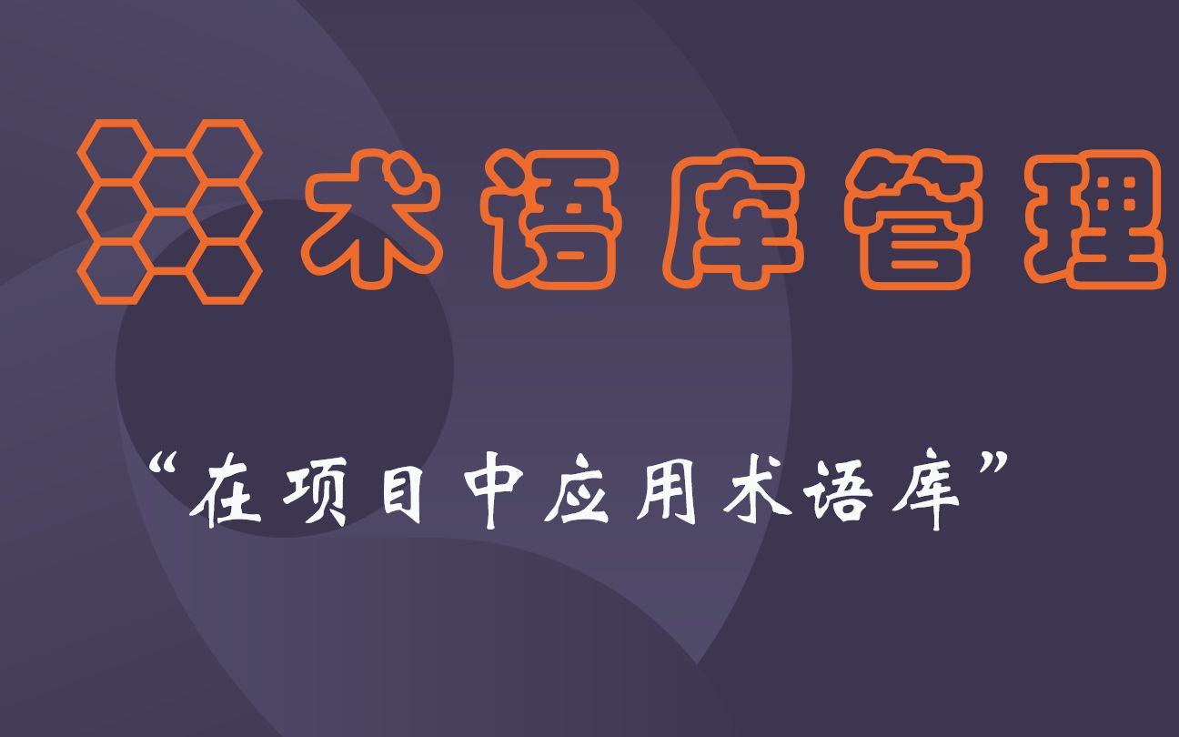 在项目中应用术语库哔哩哔哩bilibili