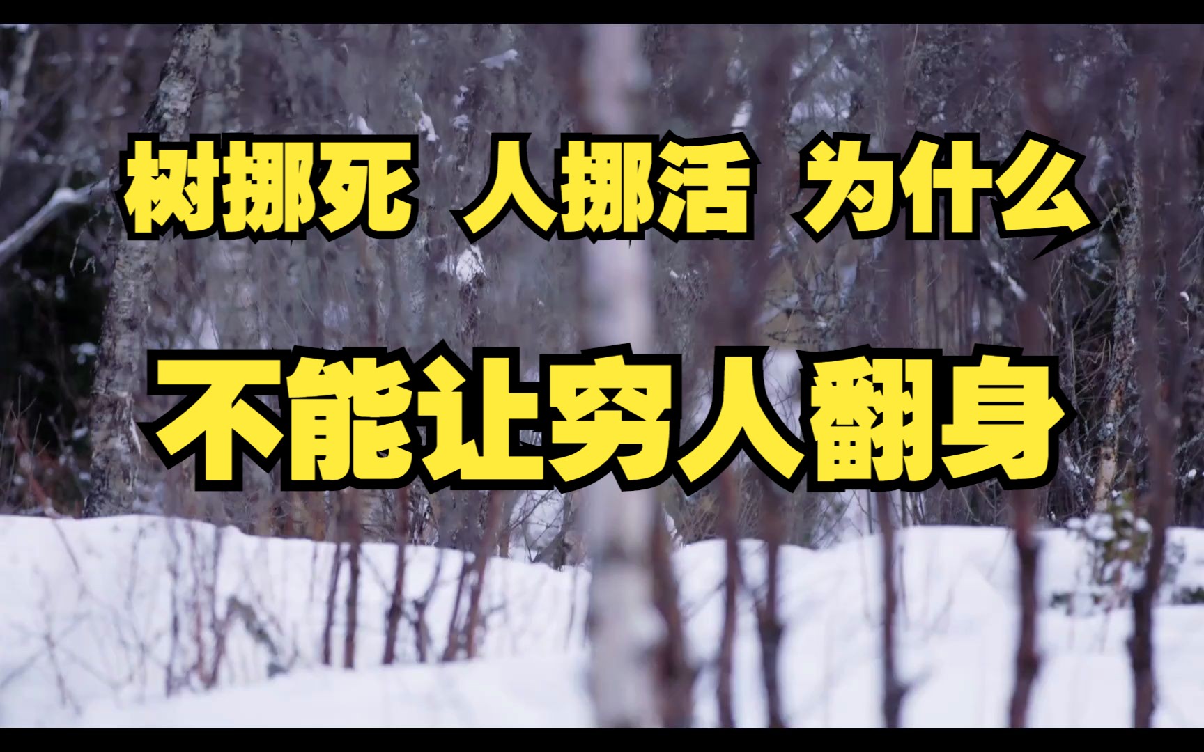 一个人飞黄腾达,真的是靠换圈子得来的吗?答案可能颠覆你的认知哔哩哔哩bilibili