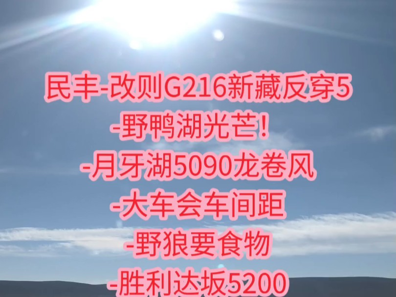 民丰改则G216新藏反穿5野鸭湖光芒!月牙湖5090龙卷风大车会车间距野狼要食物胜利达坂5200哔哩哔哩bilibili