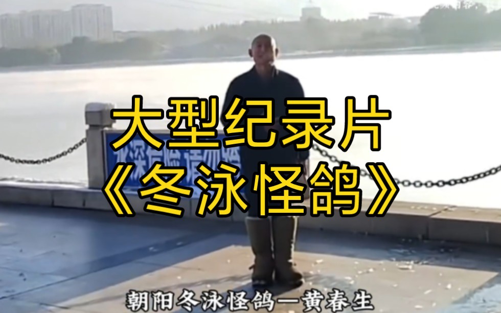 莫愁前路无知己,天下谁人不识君,大型纪录片《冬泳怪鸽》持续为您播出