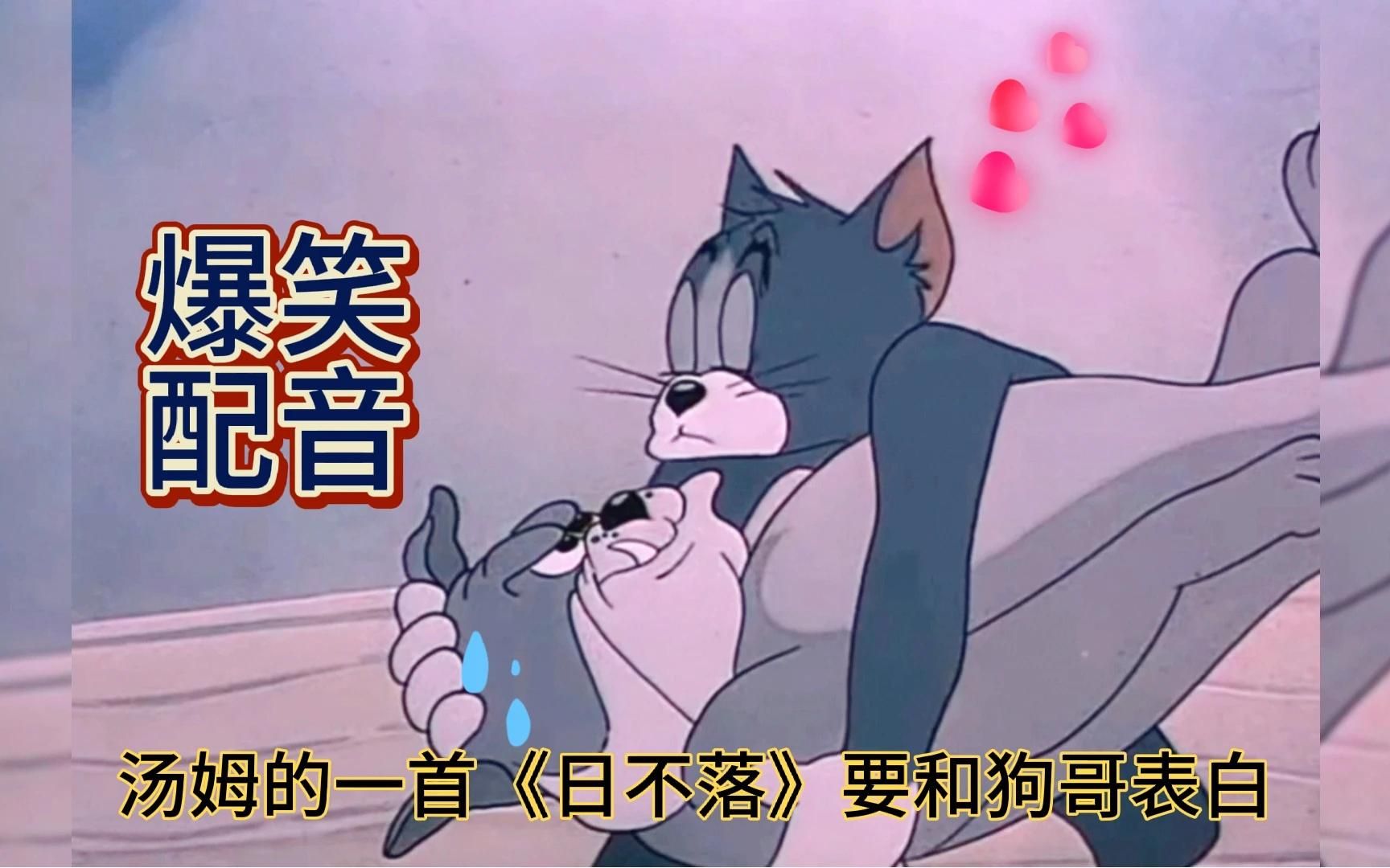 搞笑动漫配音 猫和老鼠:汤姆给斯派克唱歌这是要表白啊 我笑喷了