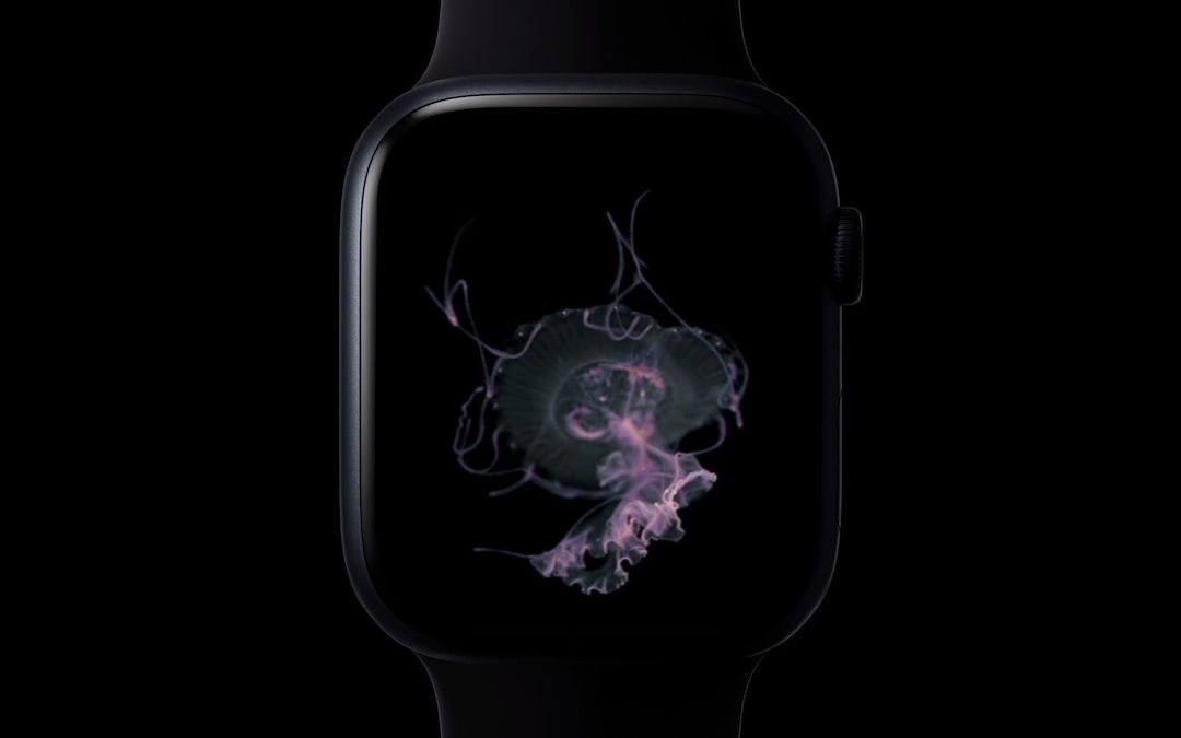 applewatch水母表盘完整版