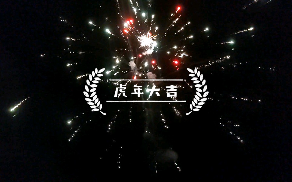 新的一年,祝愿大家虎年大吉!哔哩哔哩bilibili