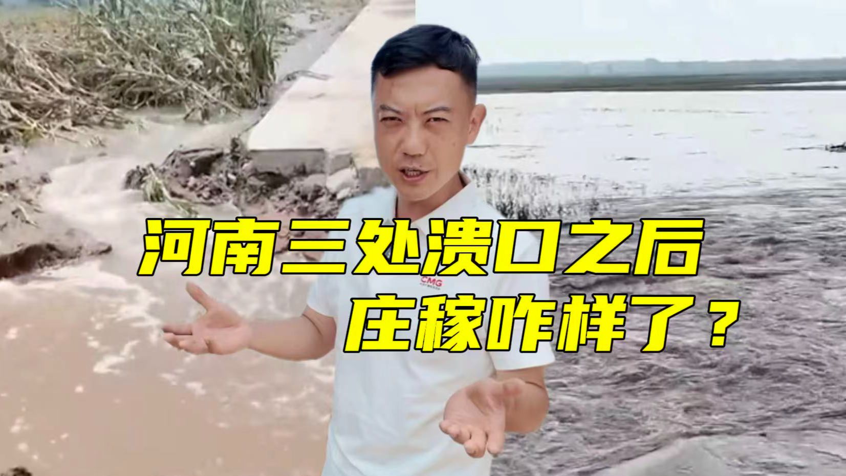 央视探访河南暴雨！溃口后村庄和庄稼咋样了？【主播说三农】