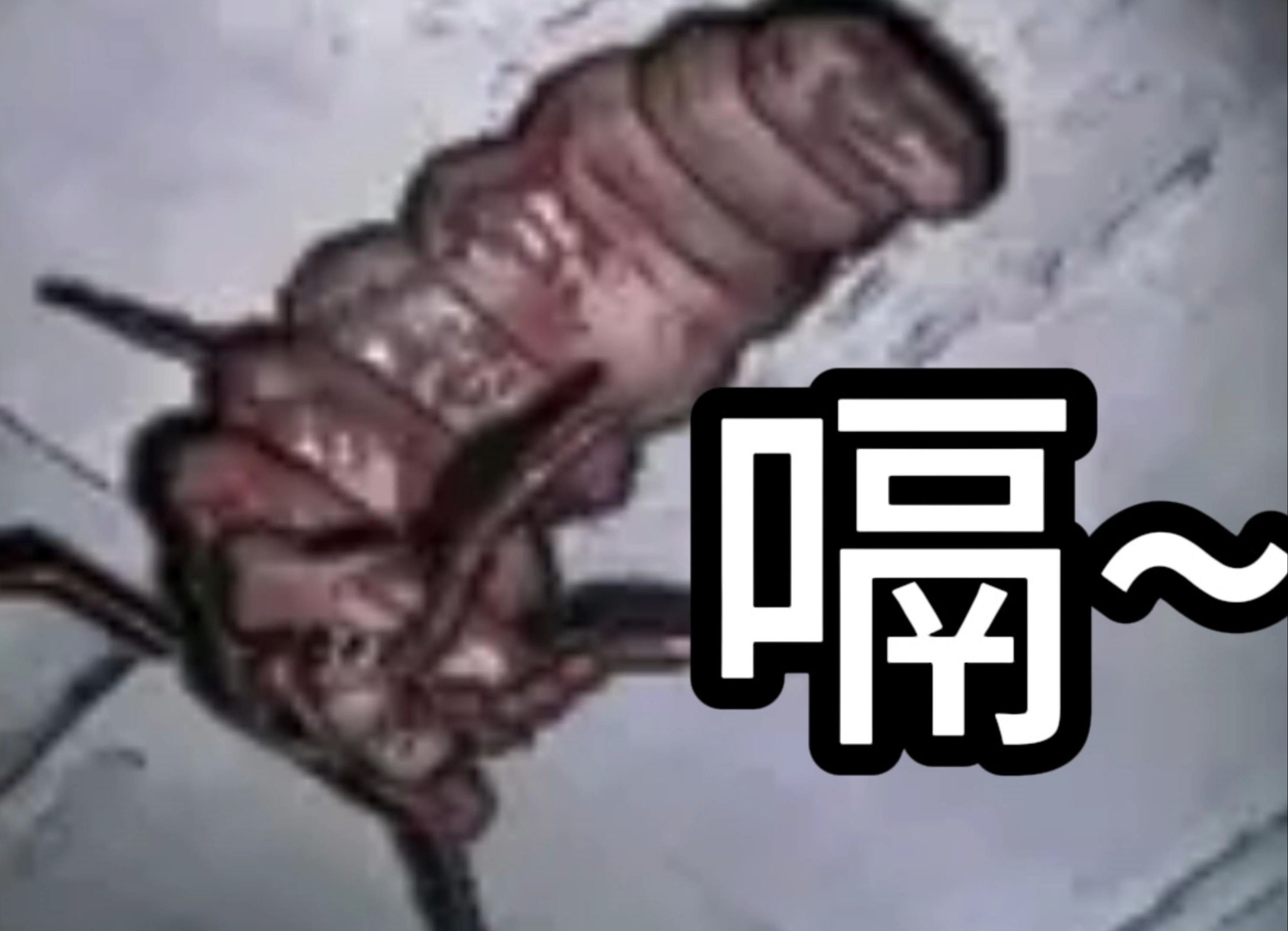 【致命公司】抱脸虫:吃不下了,真的吃不下了