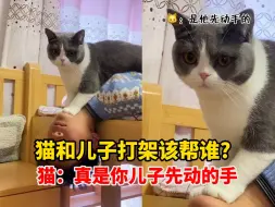 Download Video: 猫和儿子打架该帮谁?儿子：妈妈救我！猫：真是你儿子先动的手