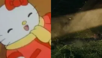 中文字幕 低燃費少女海蒂第一話 哔哩哔哩 Bilibili