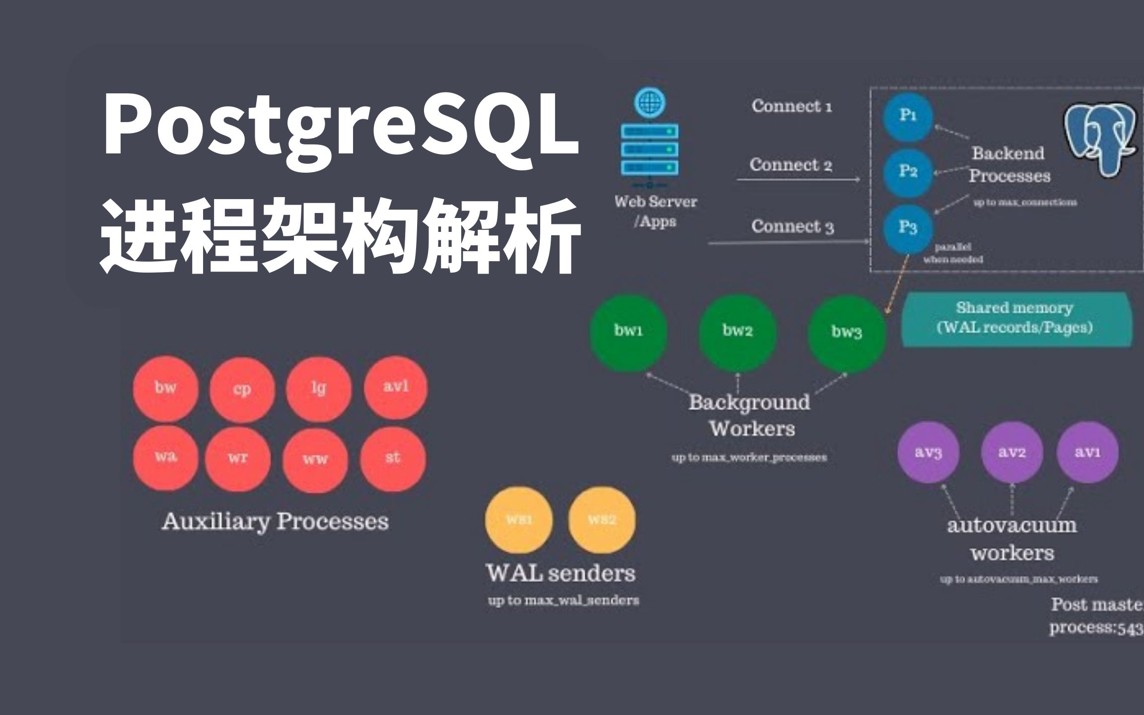 【Postgres架构】28分钟详细解读PostgreSQL进程架构哔哩哔哩bilibili