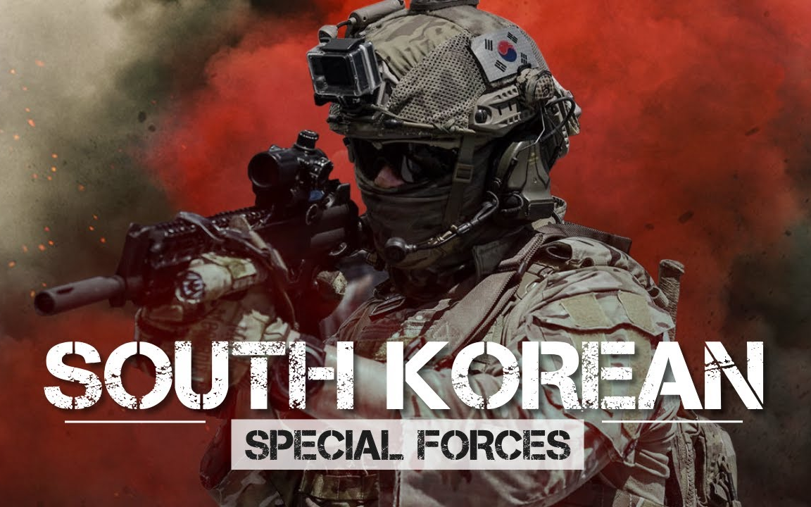[md]asian_tigers____south_korean_special_forces_哔哩哔哩 (゜-゜)