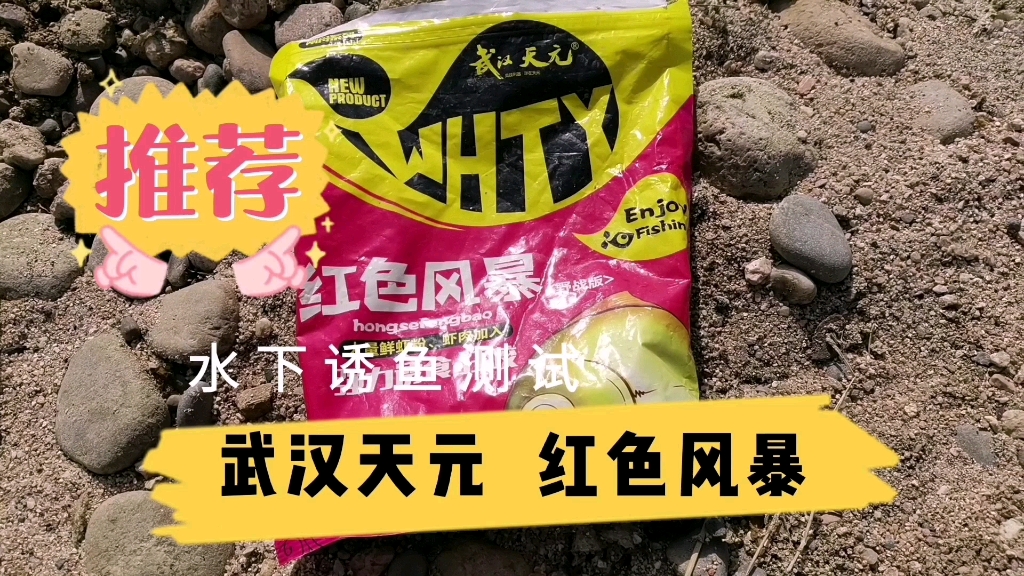 测试武汉天元的红色风暴饵料在水下真实的诱鱼效果,了解饵料才能更好的使用哔哩哔哩bilibili