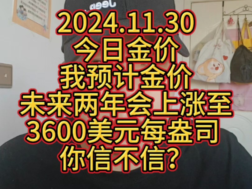 2024.11.30 今日金价 我预计金价未来两年会上涨至3600美元每盎司,你信不信?哔哩哔哩bilibili