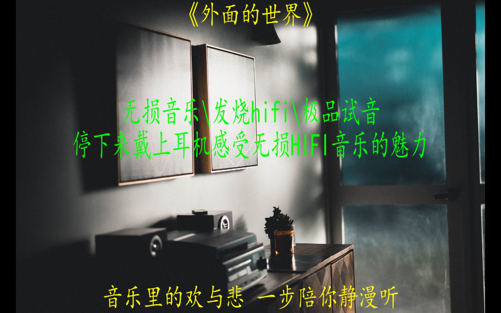 38.无损音乐/发烧hifi试音极品怀旧经典歌曲《外面的世界》哔哩哔哩bilibili