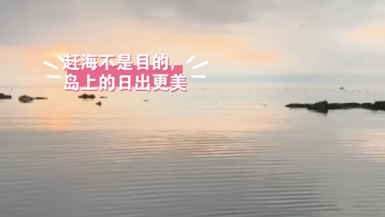 【杨小小的海岛生活】最新视频来袭,快来看看吧!哔哩哔哩bilibili