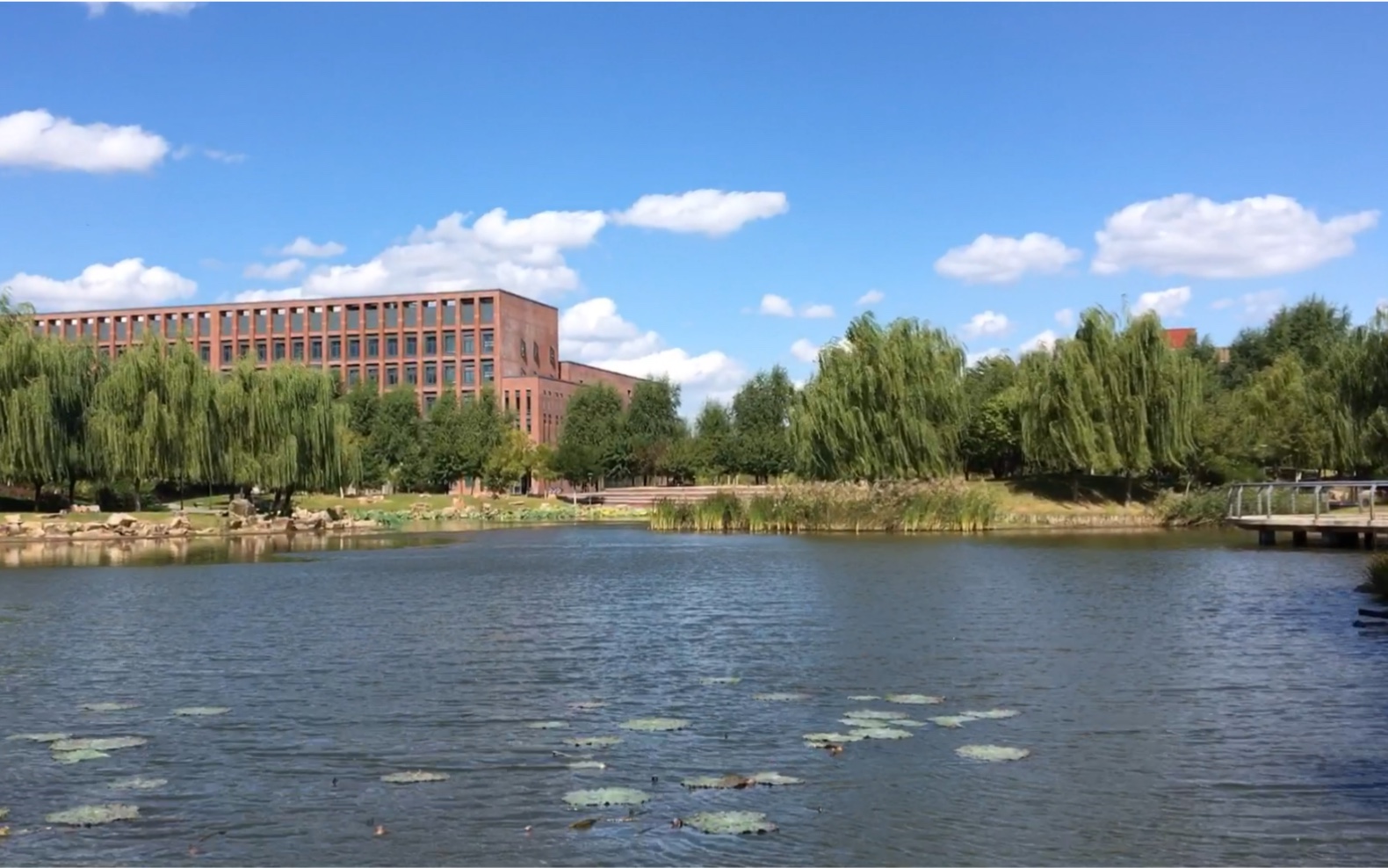 东北大学浑南校园生活(上)